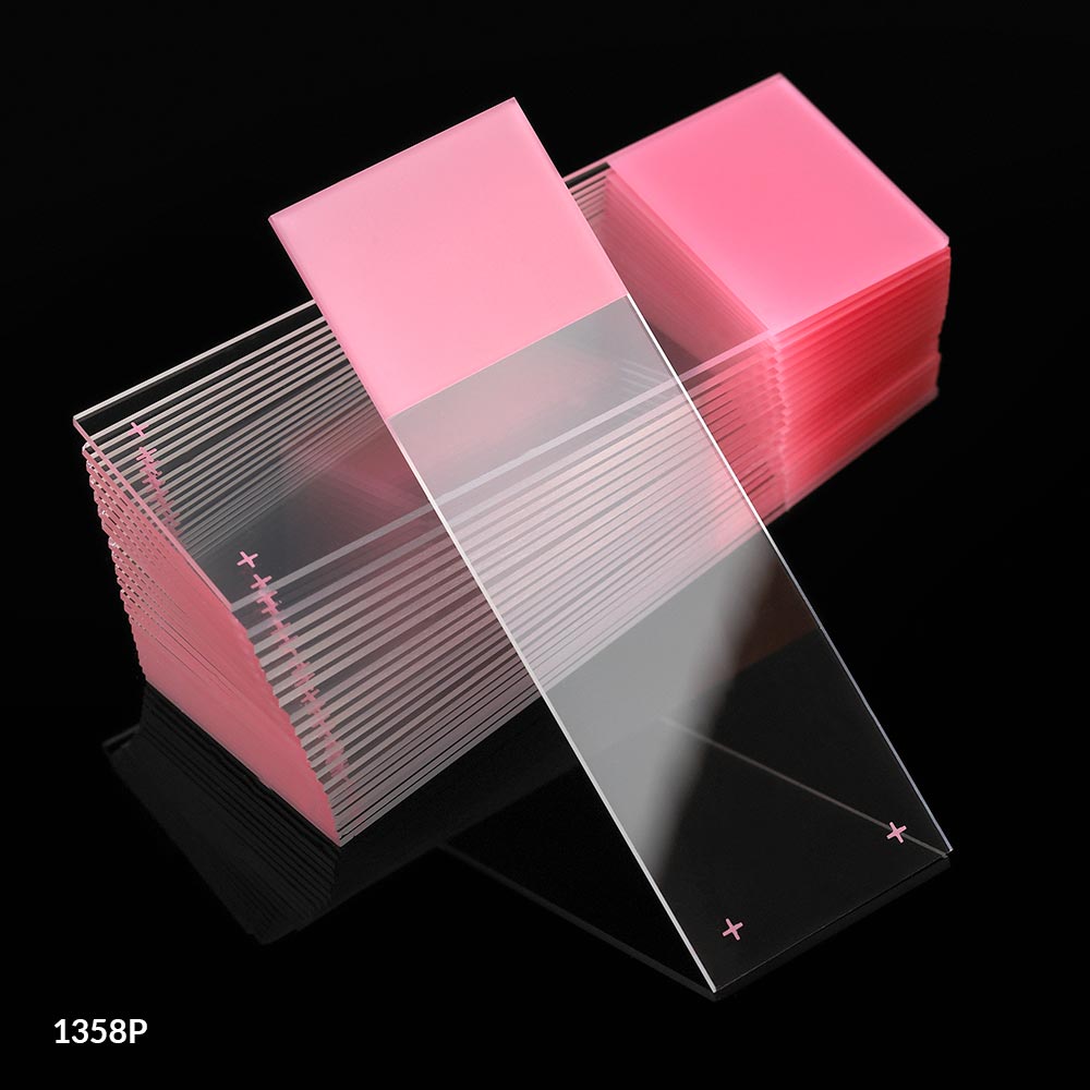 Globe Scientific Microscope Slides, Diamond White Glass, 25 x 75mm, Charged, 90? Ground Edges, Pink Frosted, 72/Box Image